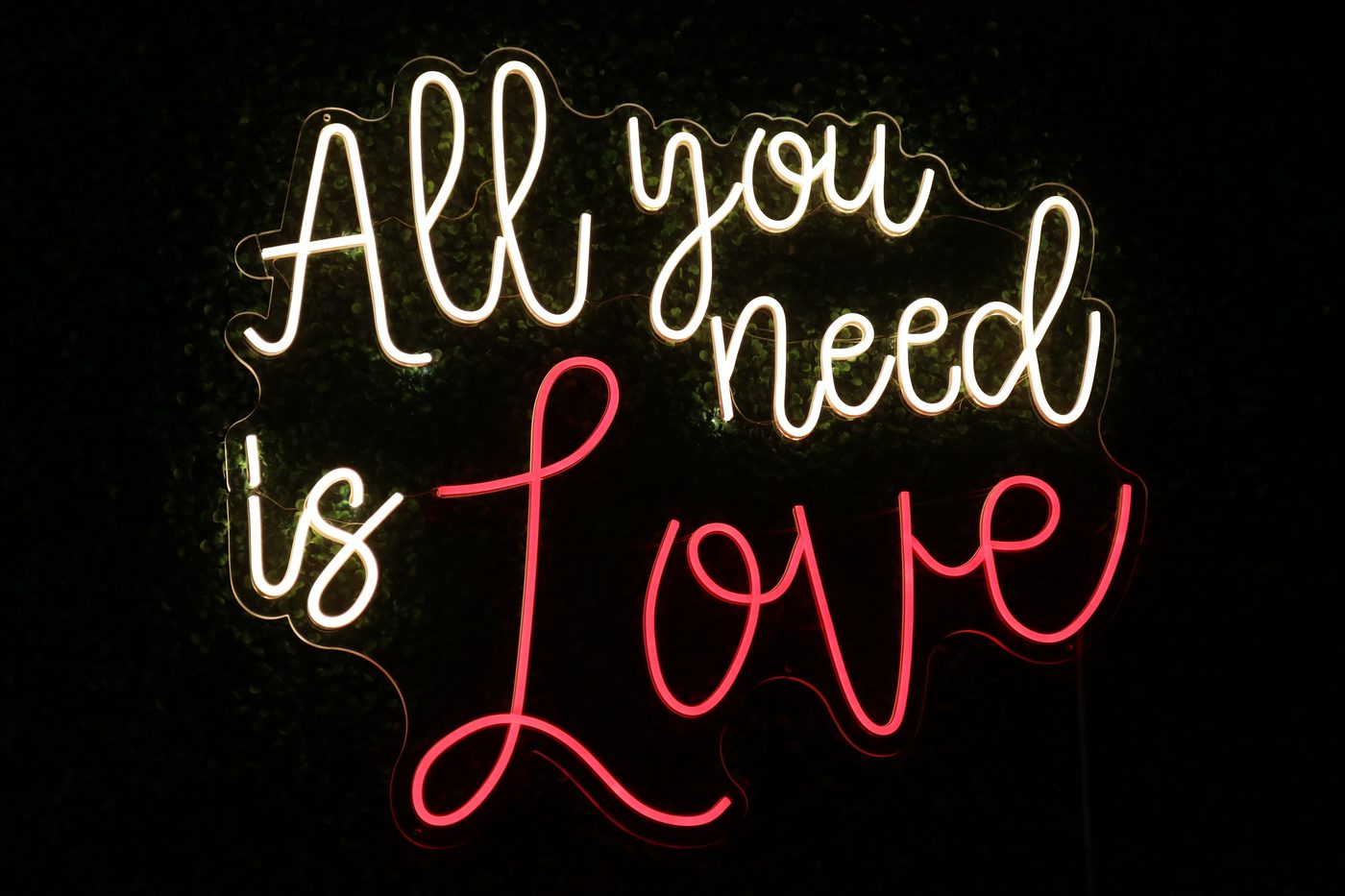 All You Need Is Love two-tone neon sign glowing on a greenery wall