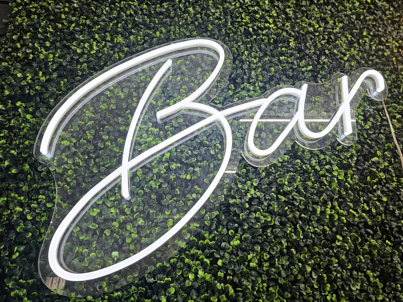 Bar script neon sign lit white on a greenery wall, top-down angle