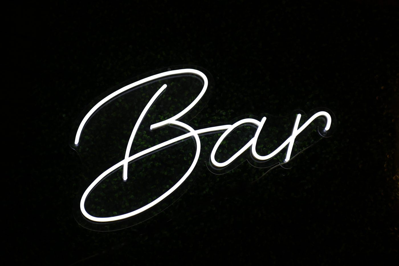 Bar script neon sign glowing white against a dark greenery wall