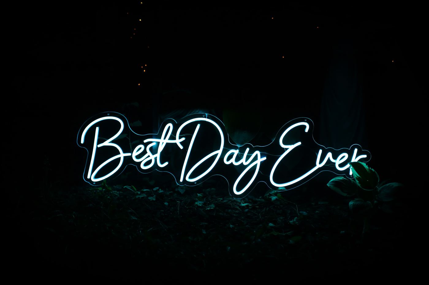 Best Day Ever neon sign glowing white in a garden setting at night